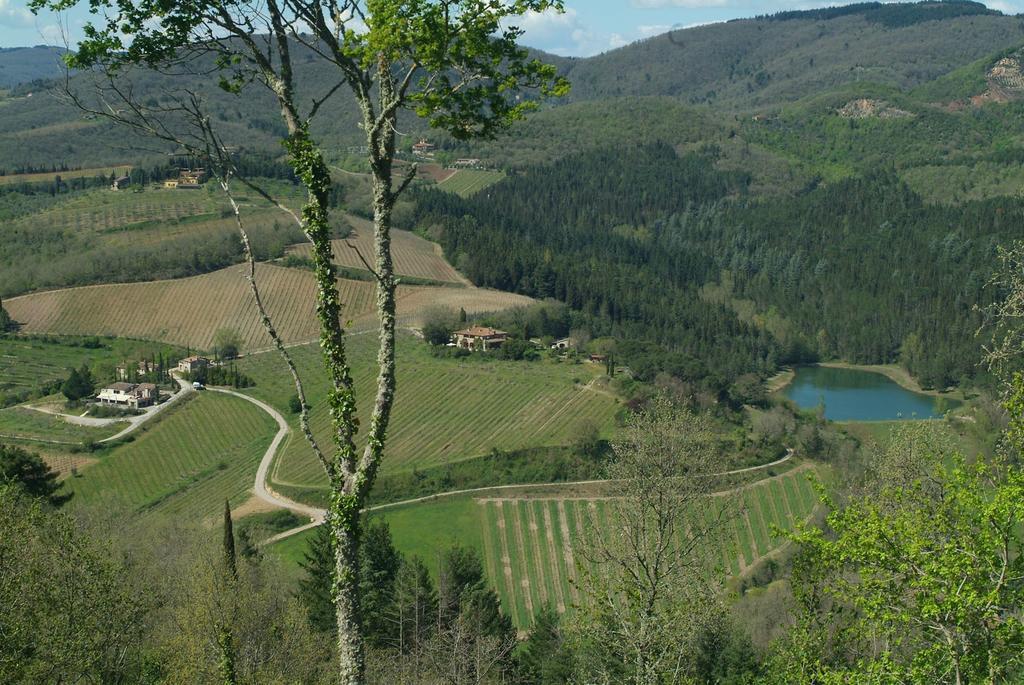 Agriturismo Vinci Gaiole in Chianti Exteriör bild